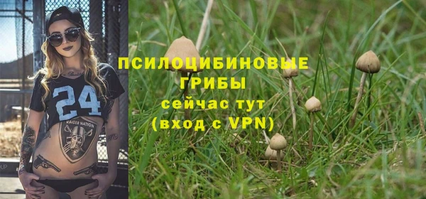 ALPHA PVP Белокуриха